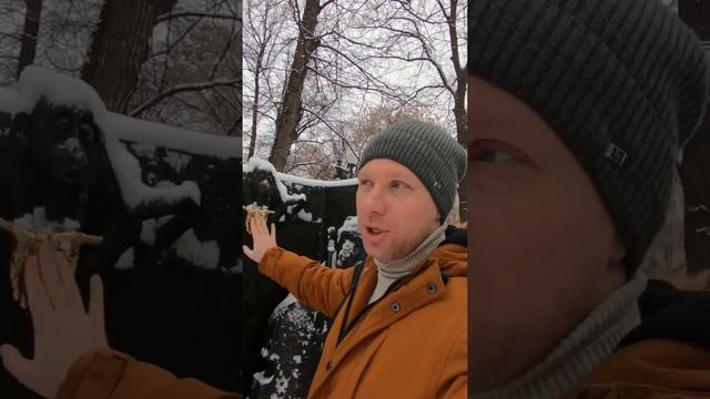 Где загадать желание в Москве смотреть онлайн