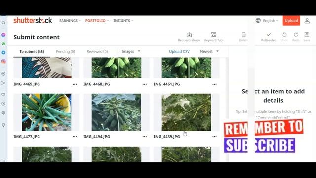 How to Upload Photos and Earn Money In 2024 (Nigeria) смотреть онлайн