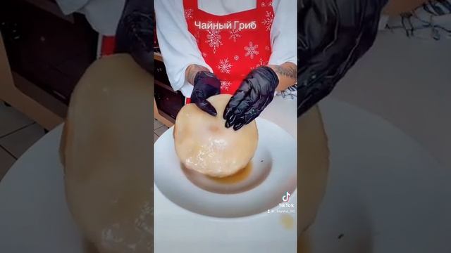 Как правильно обращатса с чайным Грибом. смотреть онлайн