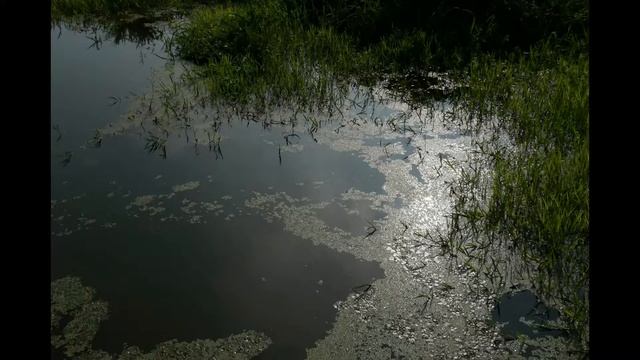 Ravel : Daphnis et Chloe - Scene 1-6 Dorcon's grotesque dance смотреть онлайн