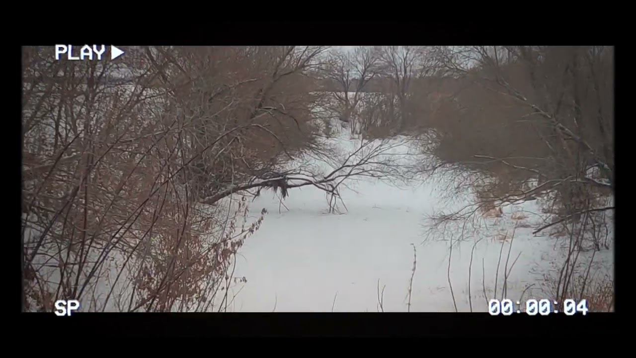 с наступающим новым годом! дорогие гребни смотреть онлайн