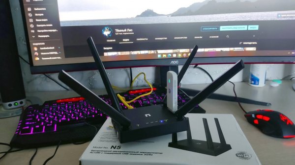 📶 Wi-Fi роутер NETIS N5, настройка PPPoE и 4G