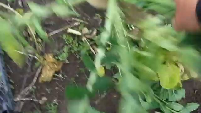 Строительный Дайджест