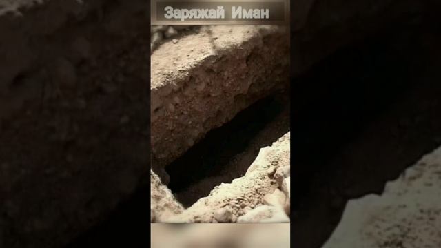 Кто твой Господь? | Допрос в могиле смотреть онлайн