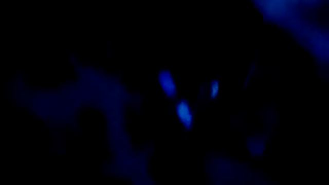 Семейная жизнь,от которой хочется бежать куда глаза глядят. смотреть онлайн