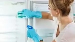 Чем помыть холодильник? Запах внутри холодильника.