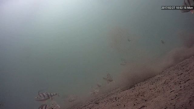 Зимняя рыбалка оз. Арахлей, Забайкальский край. смотреть онлайн