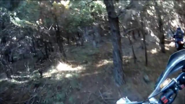 Sunny Corner trailriding смотреть онлайн