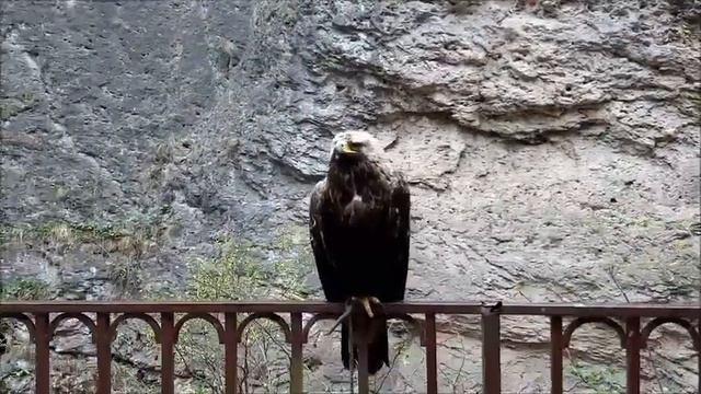 ЧЕГЕМСКИЕ ВОДОПАДЫ. КАБАРДИНО-БАЛКАРИЯ. смотреть онлайн