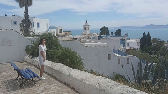 Вид на бело-голубой Сиди-Бу-Саид смотреть онлайн