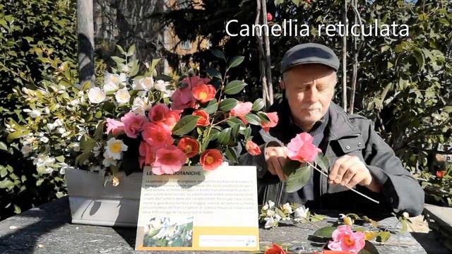 Puntata 1 - Le specie botaniche смотреть онлайн