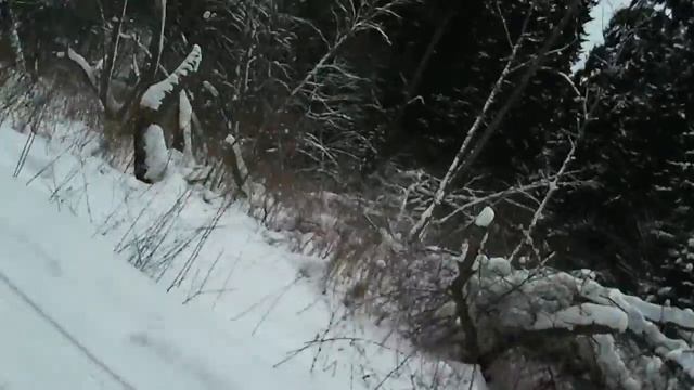 Снега полные штаны смотреть онлайн