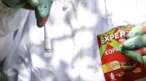 Чем обработать картофель от жука? Препарат со 100% гарантией!