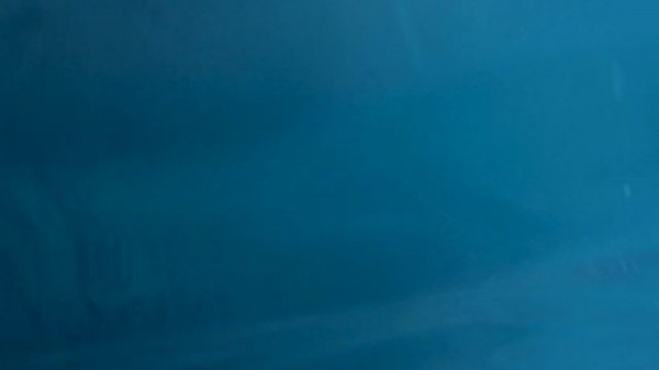 In The Zone by FSM Team