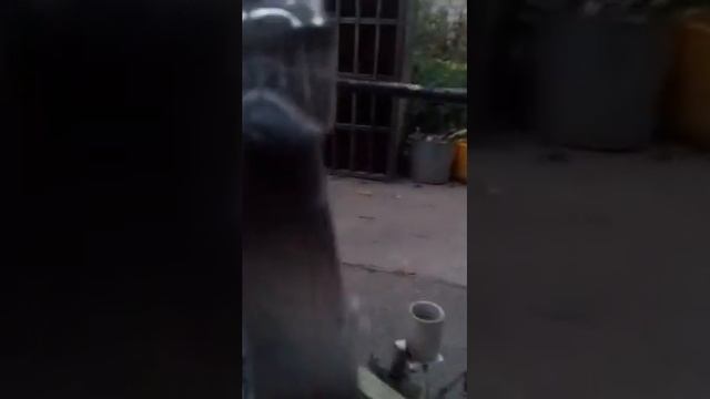 русские мини тойчики смотреть онлайн