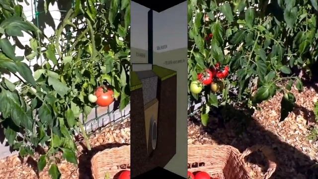 Как заставить соседа по даче, законно, сделать в основании забора трубы для прохода воды смотреть онлайн