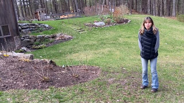 FROST WARNING - PLANT RESCUE /GARDEN TOUR DAMAGE смотреть онлайн