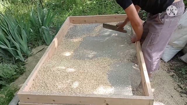 Сеем Ячмень ,Зерно отход смотреть онлайн
