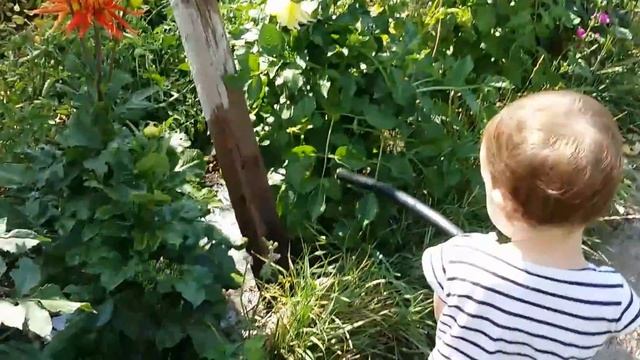 ДЕРЕВНЯ! Цветы / В ДЕРЕВНЕ У БАБУШКИ ))) Помогаем поливать огород :) Поливаем - цветы... смотреть онлайн