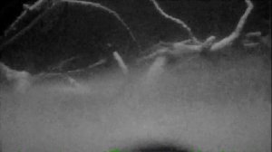 Правильное освещение для подводной камеры.