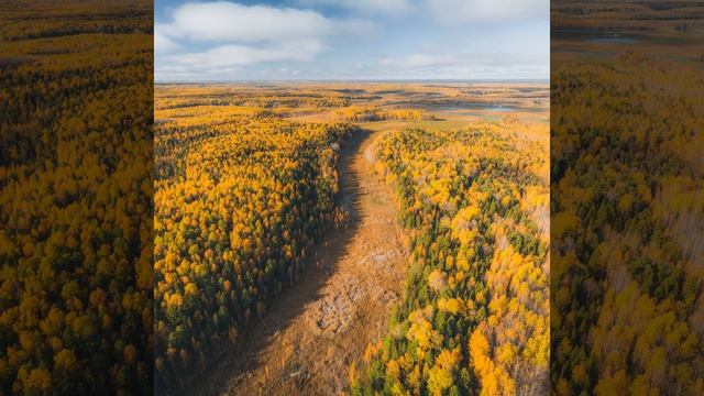 Быстрый сон, отдых, белый шум