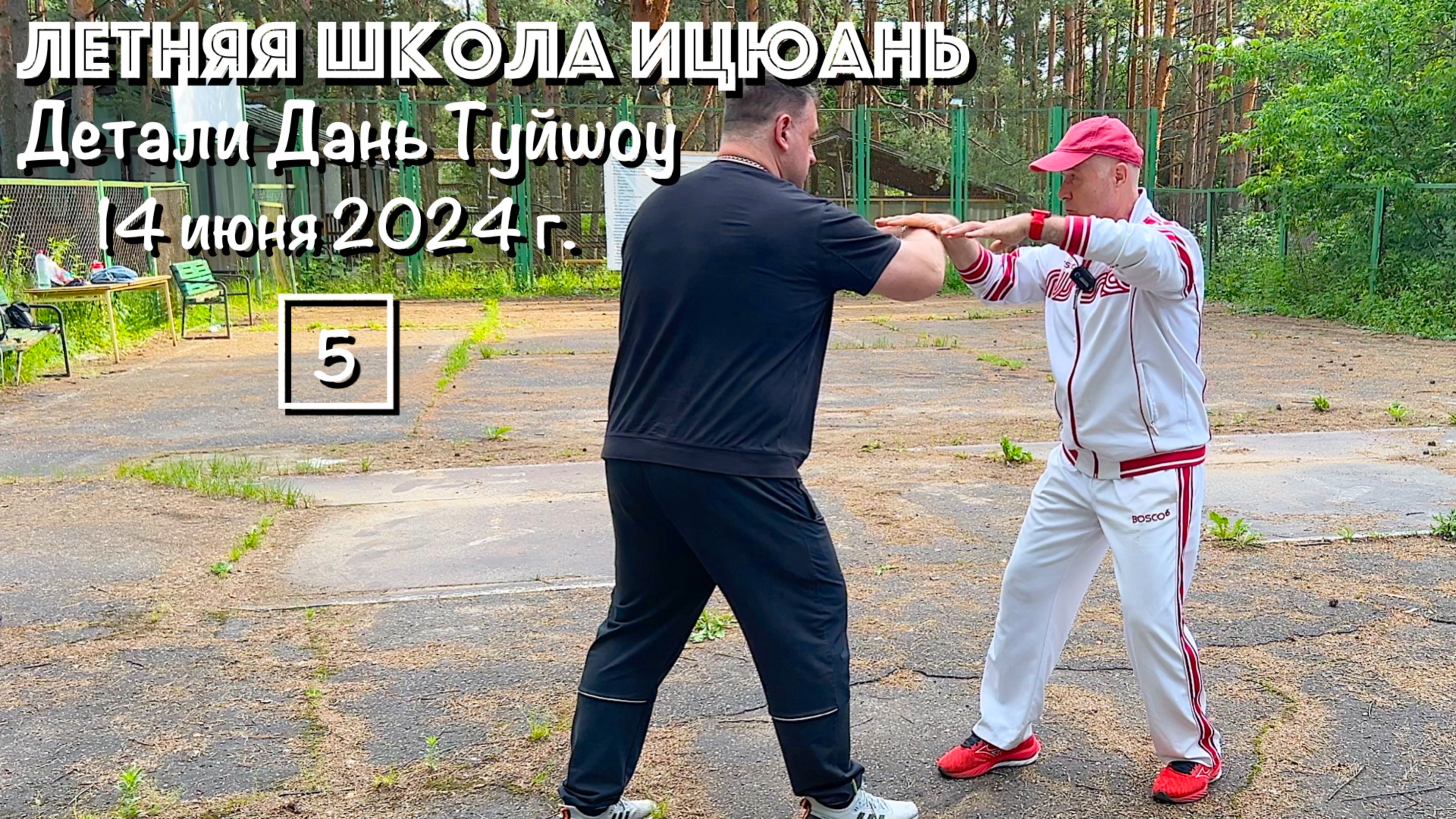 Летняя Школа Ицюань-2024 (5) Детали Дань Туйшоу (14.06.24)