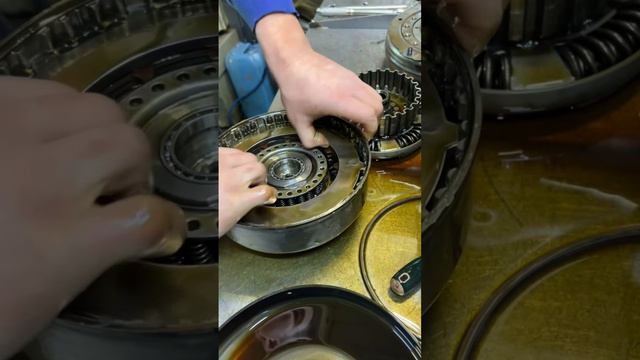 Роман Никитин