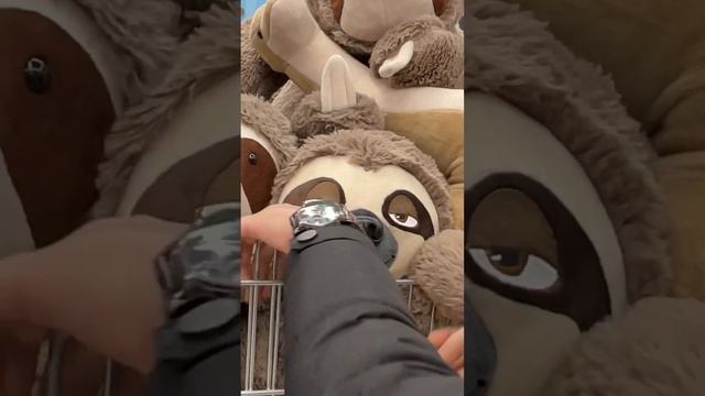 Армянский ленивец ??? ———————————————#armenia #hayastan #reels смотреть онлайн