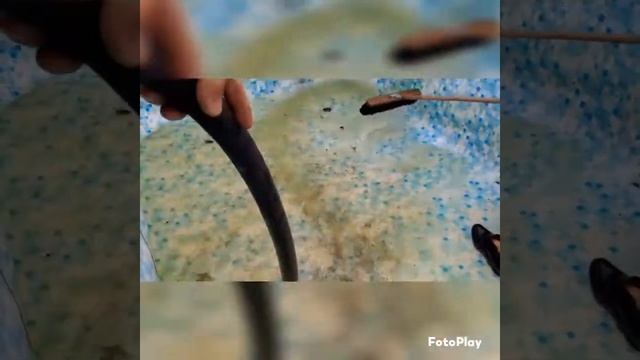 Готовим бассейн к лету . смотреть онлайн