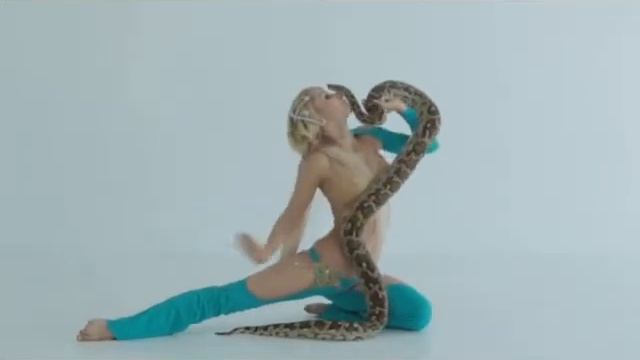 Экзотические животные в аренду, экзотические животные на праздник. От www.квестысживотными.рф смотреть онлайн