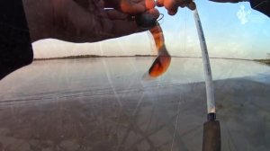 Обзор лучшего спиннинга в мире - Крокодил 210