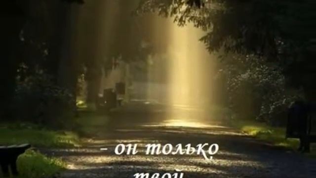 12 ДУШОЙ И СЕРДЦЕМ ВЫБИРАЙ СВОЙ ПУТЬ (Эндрю Фриз) смотреть онлайн