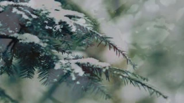 П. І. Чайковський «Зима»(фрагмент) смотреть онлайн