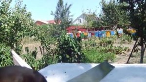 как пропитать полоски для обработки пчелосимей вароджетом.