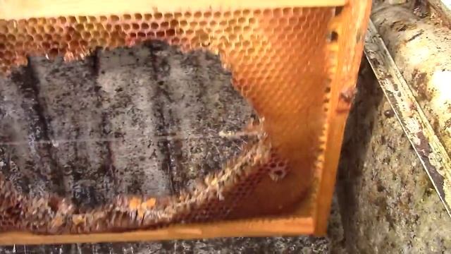 Самодельная паровая воскотопка смотреть онлайн