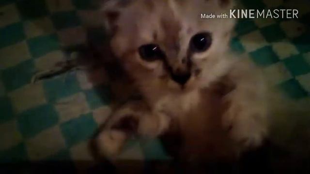 Не дают ребёнку поспать смотреть онлайн