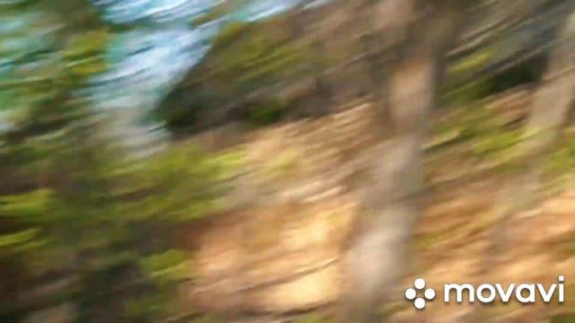 Может в самом видосе ви не заметите что то, чего не увидел Макс смотреть онлайн