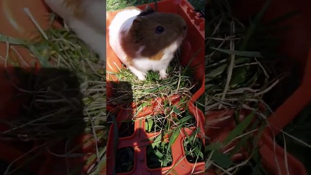 13 мая 2020 г. смотреть онлайн