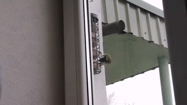 VLOG 31.10.2020 - 02.11.2020 - ХЭЛЛОУИН ПРОДОЛЖАЕТСЯ | С ДНЁМ РОЖДЕНИЯ, МАМА! смотреть онлайн