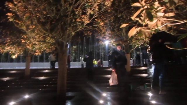 Рыбки в парке Галицкого смотреть онлайн
