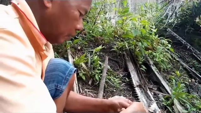 Cara mudah Tki malaysia mancing pakai umpan hati Ayam""" смотреть онлайн