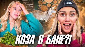 Именинница в а#уе от подарков. Коза в бане!?