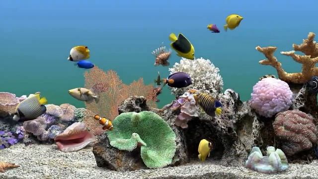 Мгновенное избавление от стресса и беспокойства, аквариум,исцеляющие звуки для тела и души. смотреть онлайн