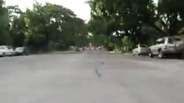 Camera Mount Test Drive смотреть онлайн