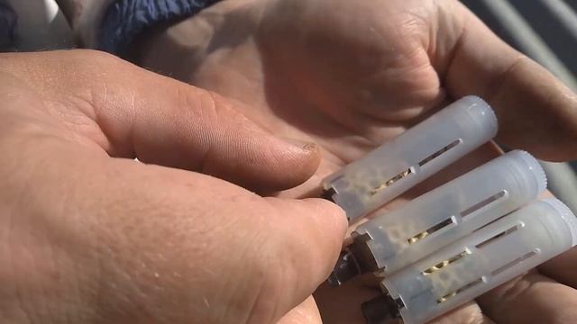 Как же я вовремя одел на маточники бигуди :) смотреть онлайн