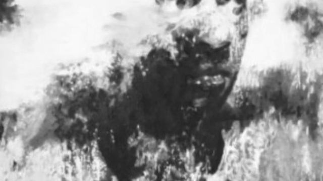 Сны и чудовища. Автор: Лис_Уильямс смотреть онлайн