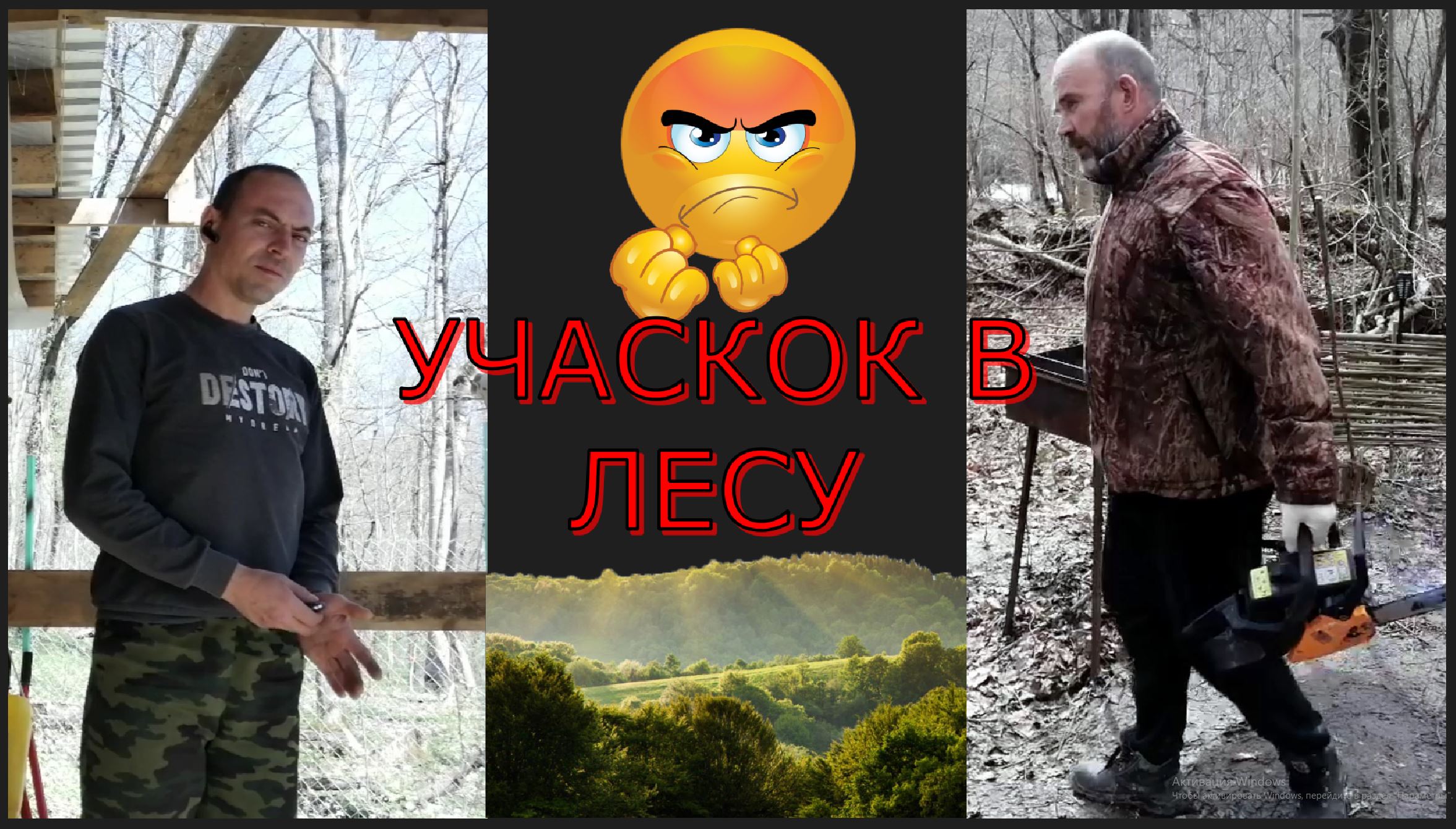 лесная жизнь