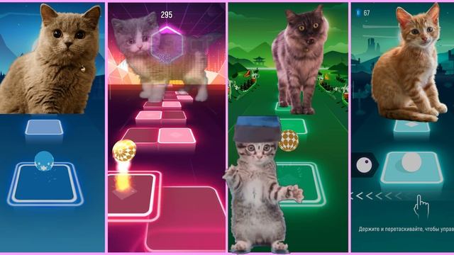 OK KITTY CUTE CATS | Tiles Hop – Kitten competition | Funniest Animals video game ? Funny Cats смотреть онлайн