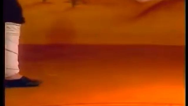 ушу Чой основное движение по прямой с качанием смотреть онлайн