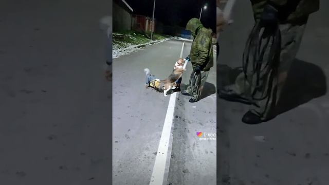 Игра с кольцом. Яша, Чак и Ника. смотреть онлайн